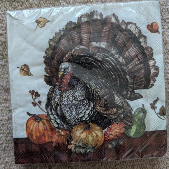176 Large Timeless Turkey 2-Ply Thanksgiving Christmas New Year Party Napkins - Picture 4 of 5